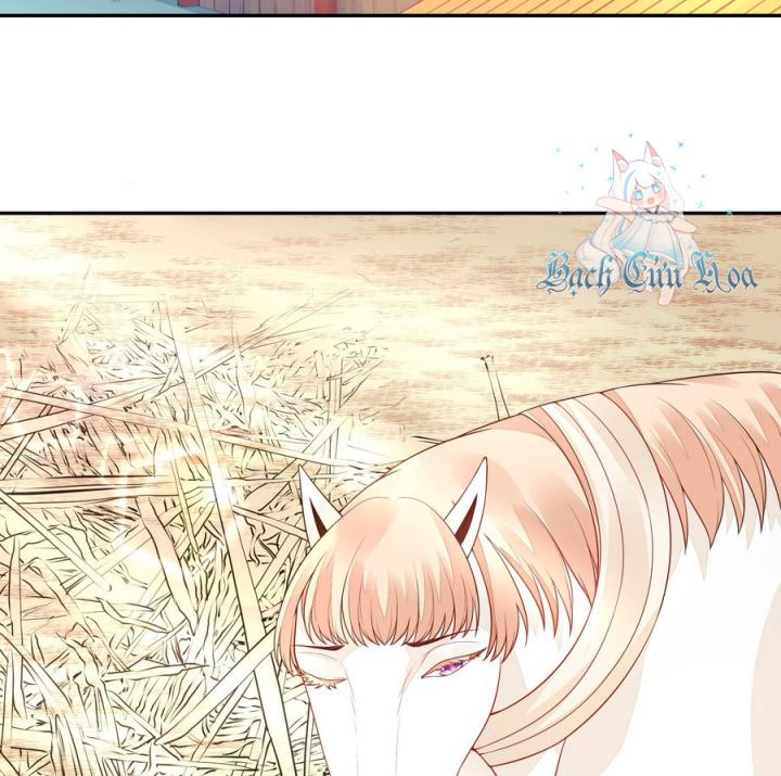 Hồ Ly Tinh Của Trẫm Chapter 14 - Trang 2