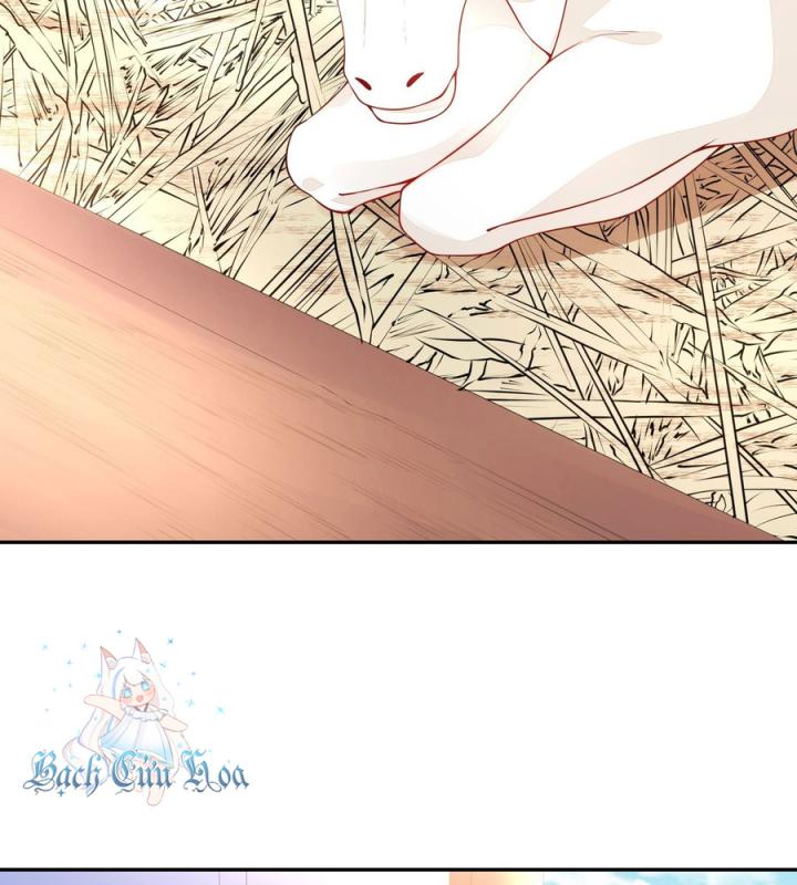 Hồ Ly Tinh Của Trẫm Chapter 14 - Trang 2