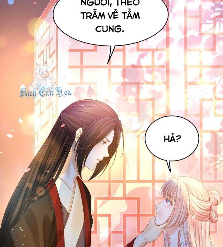 Hồ Ly Tinh Của Trẫm Chapter 16 - Trang 2