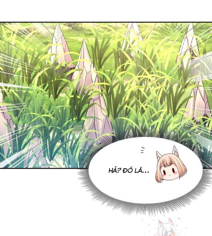 Hồ Ly Tinh Của Trẫm Chapter 33 - Trang 2