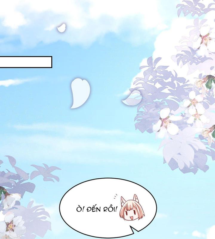 Hồ Ly Tinh Của Trẫm Chapter 41 - Trang 2