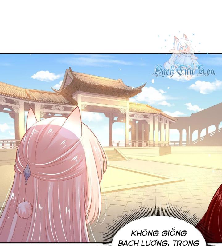 Hồ Ly Tinh Của Trẫm Chapter 43 - Trang 2