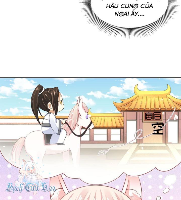 Hồ Ly Tinh Của Trẫm Chapter 43 - Trang 2