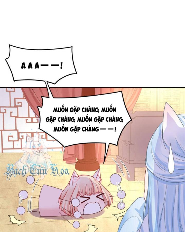 Hồ Ly Tinh Của Trẫm Chapter 47 - Trang 2