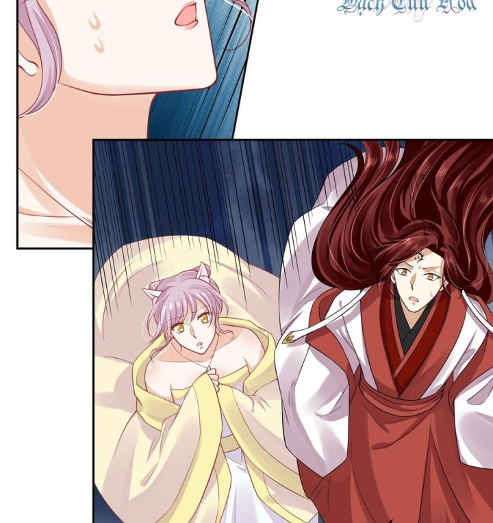 Hồ Ly Tinh Của Trẫm Chapter 50 - Trang 2