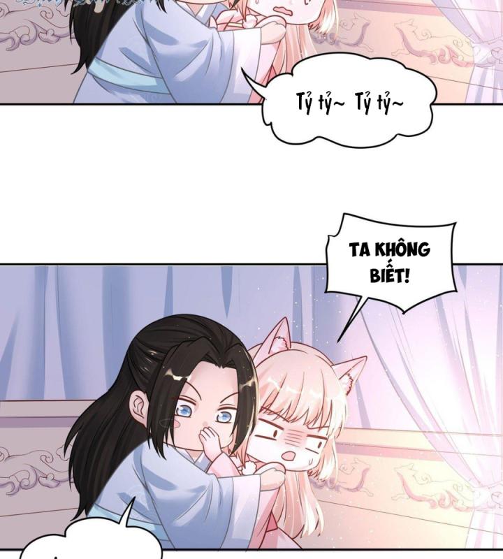 Hồ Ly Tinh Của Trẫm Chapter 51 - Trang 2