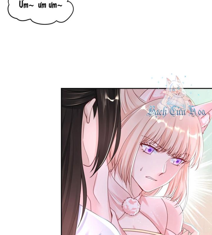 Hồ Ly Tinh Của Trẫm Chapter 51 - Trang 2