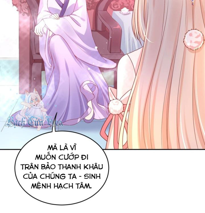 Hồ Ly Tinh Của Trẫm Chapter 51 - Trang 2