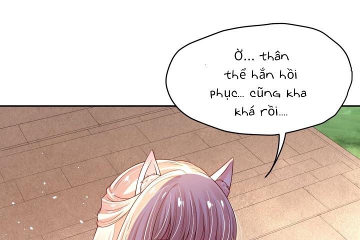 Hồ Ly Tinh Của Trẫm Chapter 52 - Trang 2