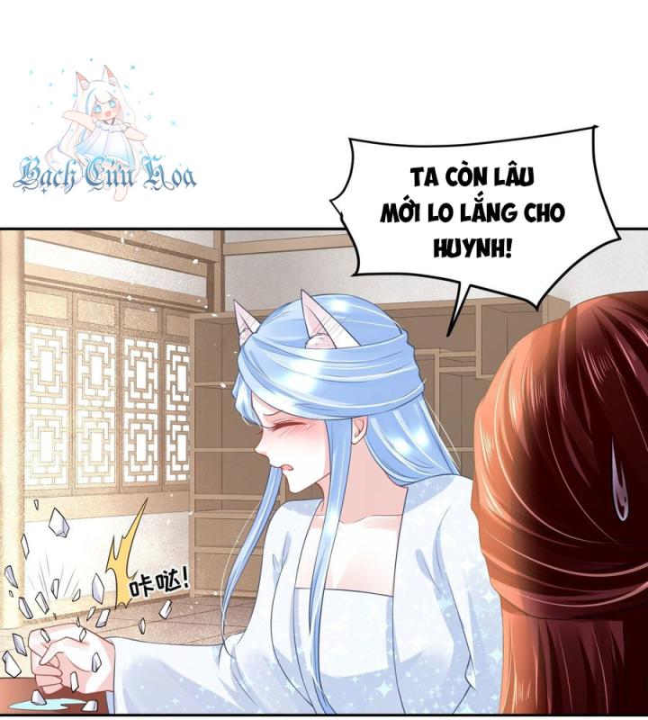 Hồ Ly Tinh Của Trẫm Chapter 54 - Trang 2