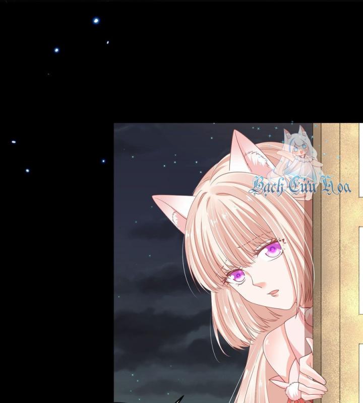 Hồ Ly Tinh Của Trẫm Chapter 55 - Trang 2