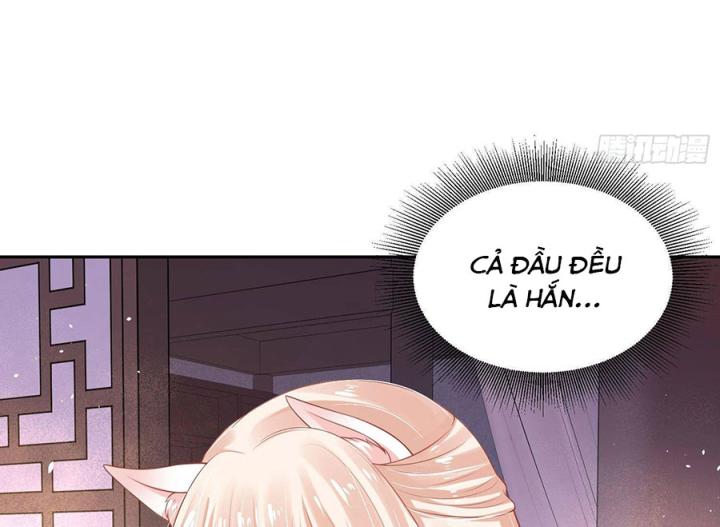 Hồ Ly Tinh Của Trẫm Chapter 58 - Trang 2