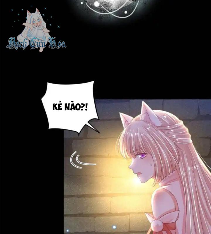 Hồ Ly Tinh Của Trẫm Chapter 62 - Trang 2