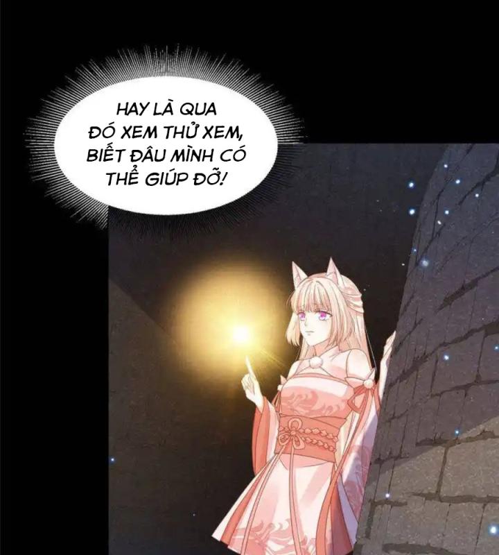 Hồ Ly Tinh Của Trẫm Chapter 62 - Trang 2