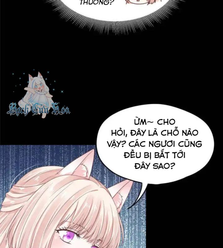 Hồ Ly Tinh Của Trẫm Chapter 62 - Trang 2