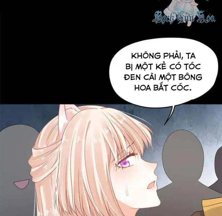 Hồ Ly Tinh Của Trẫm Chapter 62 - Trang 2
