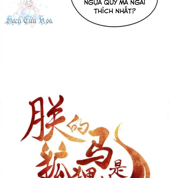 Hồ Ly Tinh Của Trẫm Chapter 65 - Trang 2