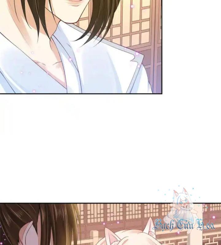 Hồ Ly Tinh Của Trẫm Chapter 66 - Trang 2