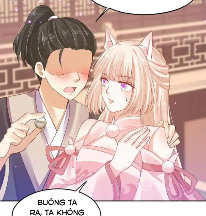 Hồ Ly Tinh Của Trẫm Chapter 66 - Trang 2