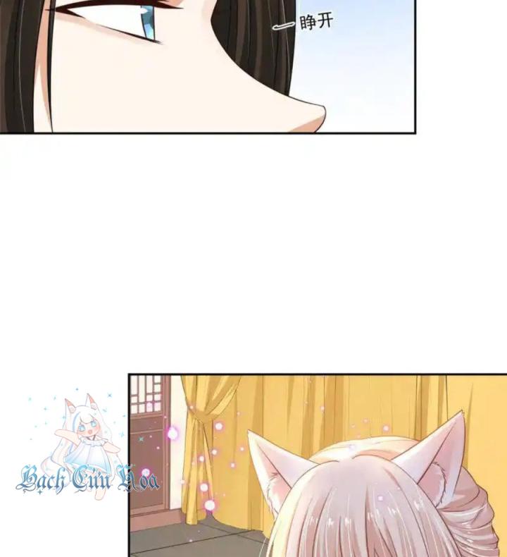 Hồ Ly Tinh Của Trẫm Chapter 67 - Trang 2