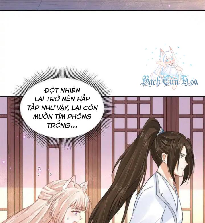 Hồ Ly Tinh Của Trẫm Chapter 67 - Trang 2
