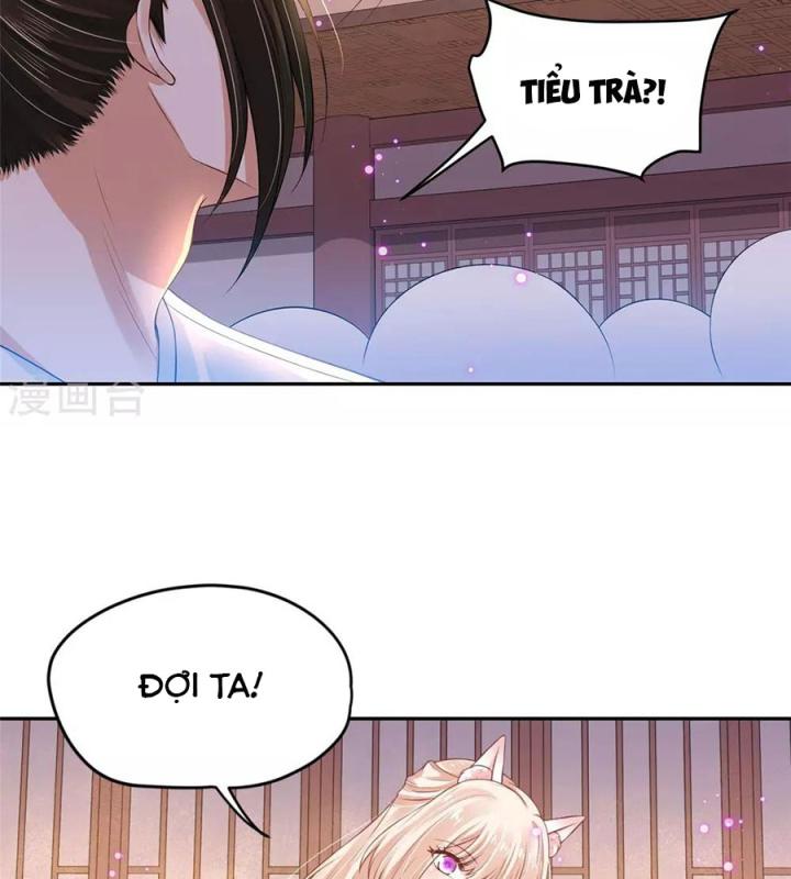 Hồ Ly Tinh Của Trẫm Chapter 69 - Trang 2