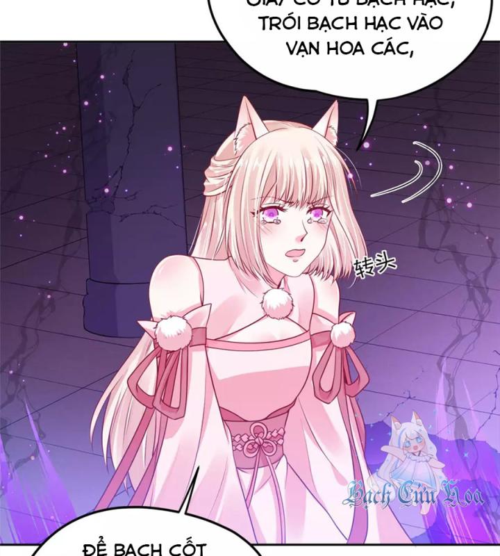 Hồ Ly Tinh Của Trẫm Chapter 72 - Trang 2