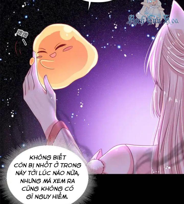 Hồ Ly Tinh Của Trẫm Chapter 76 - Trang 2