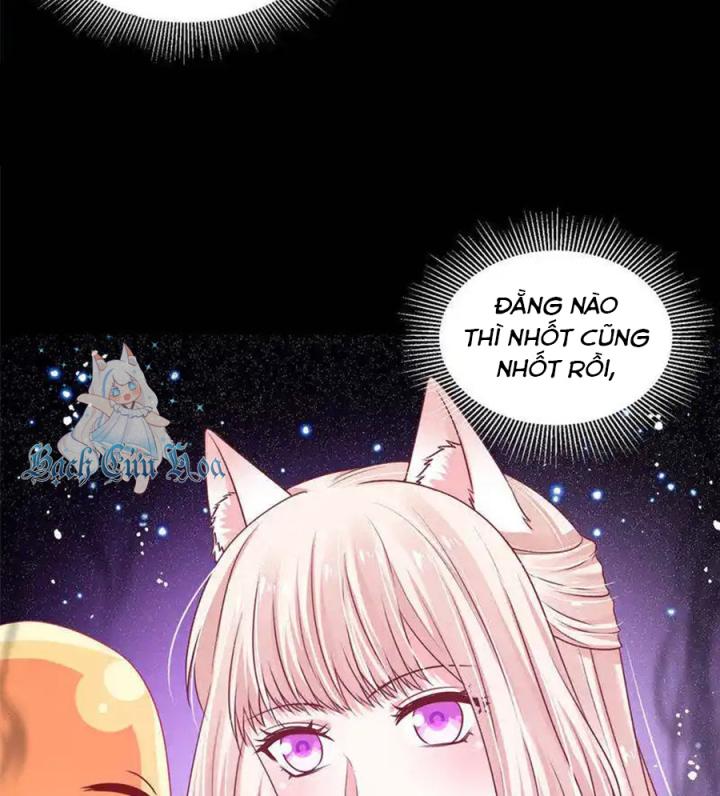 Hồ Ly Tinh Của Trẫm Chapter 76 - Trang 2