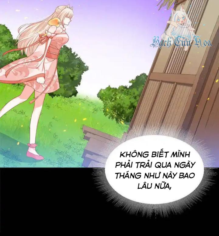 Hồ Ly Tinh Của Trẫm Chapter 77 - Trang 2