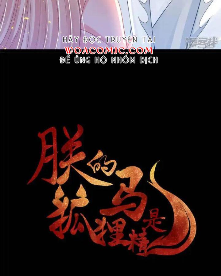 Hồ Ly Tinh Của Trẫm Chapter 78 - Trang 2