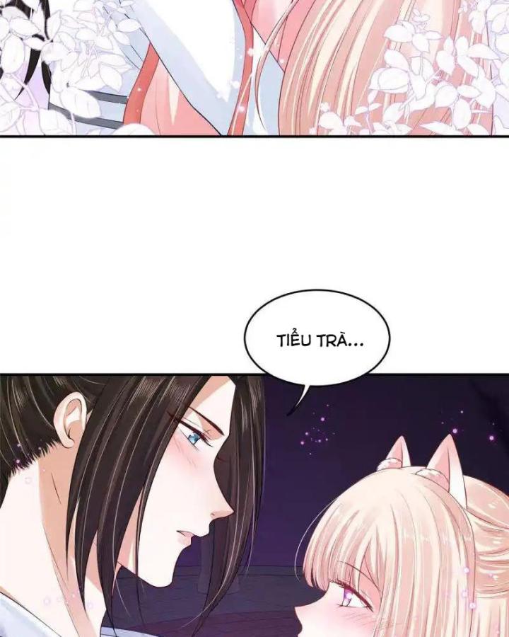 Hồ Ly Tinh Của Trẫm Chapter 78 - Trang 2