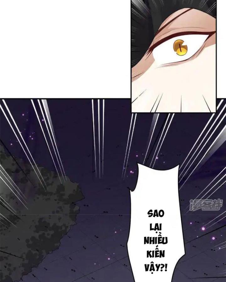 Hồ Ly Tinh Của Trẫm Chapter 78 - Trang 2