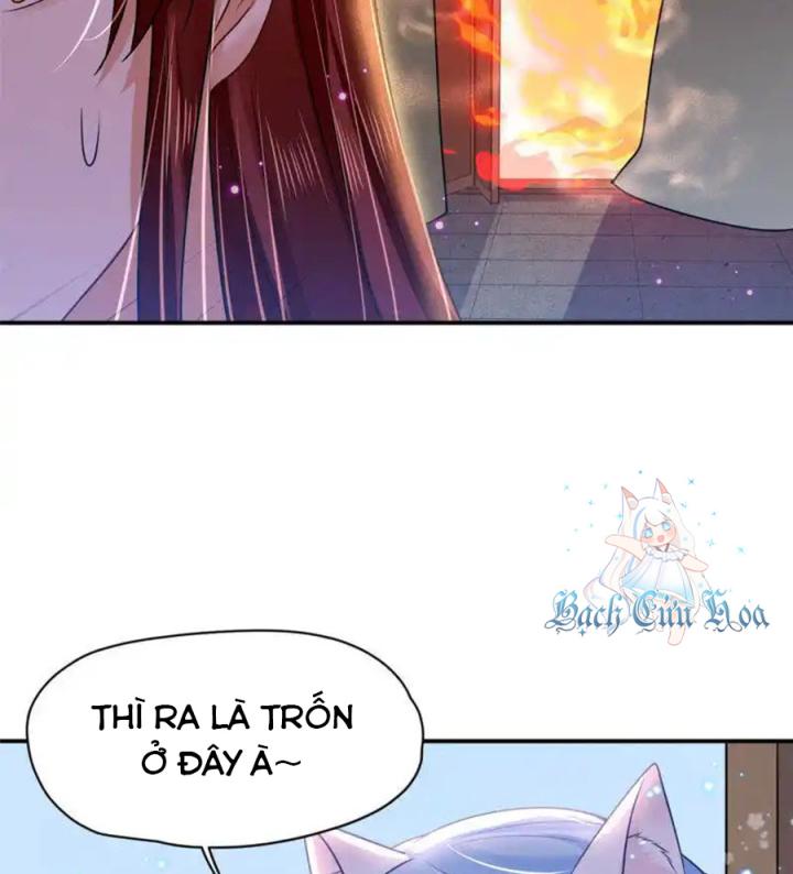 Hồ Ly Tinh Của Trẫm Chapter 80 - Trang 2