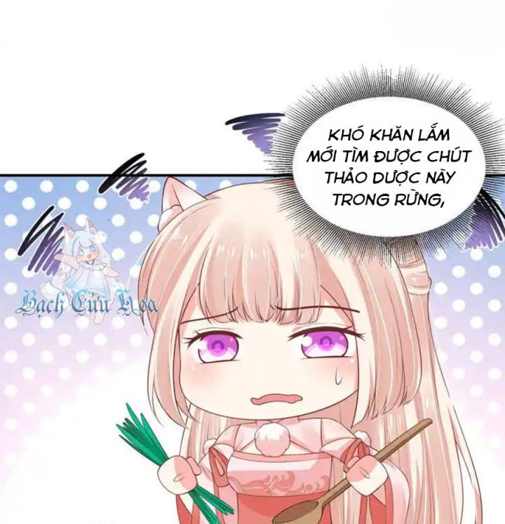 Hồ Ly Tinh Của Trẫm Chapter 81 - Trang 2