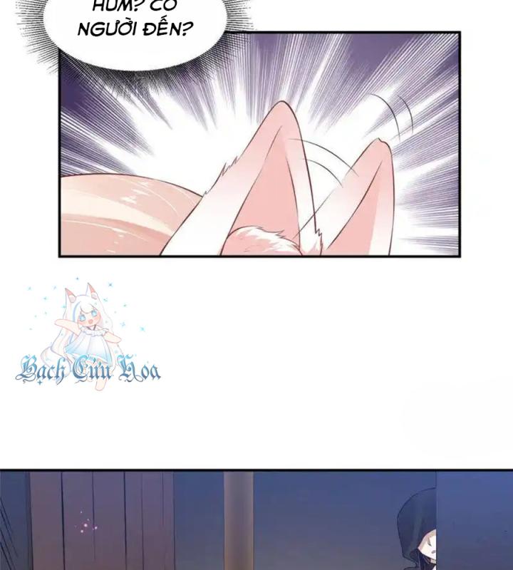 Hồ Ly Tinh Của Trẫm Chapter 81 - Trang 2
