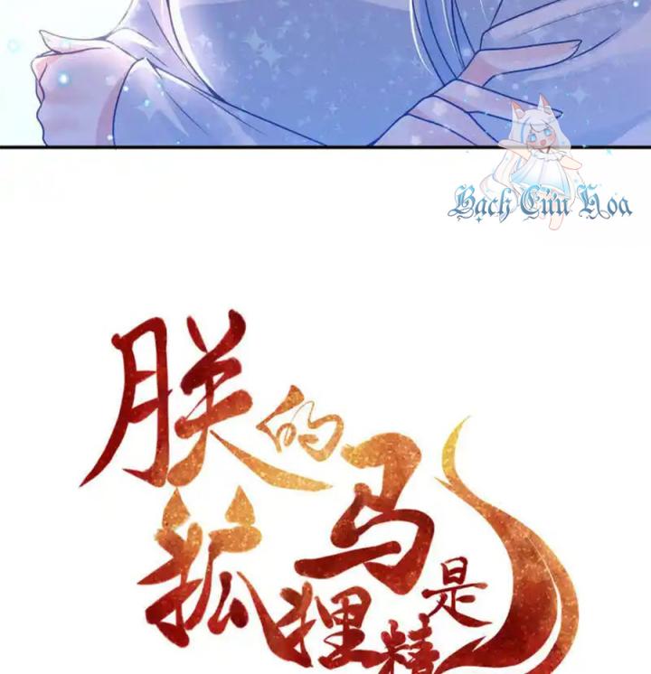 Hồ Ly Tinh Của Trẫm Chapter 81 - Trang 2