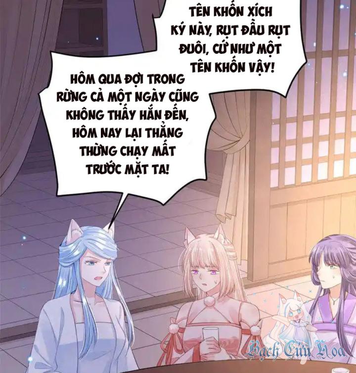 Hồ Ly Tinh Của Trẫm Chapter 82 - Trang 2