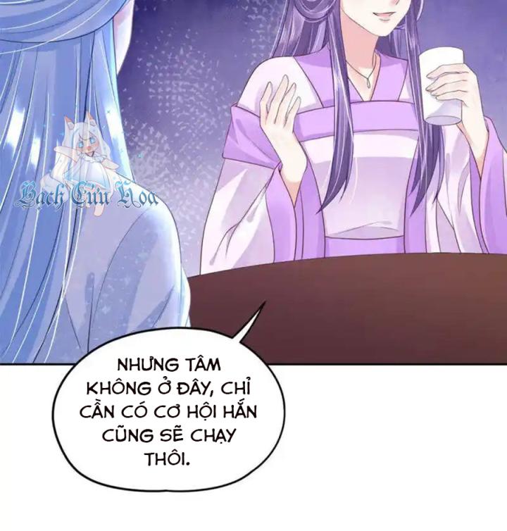 Hồ Ly Tinh Của Trẫm Chapter 82 - Trang 2