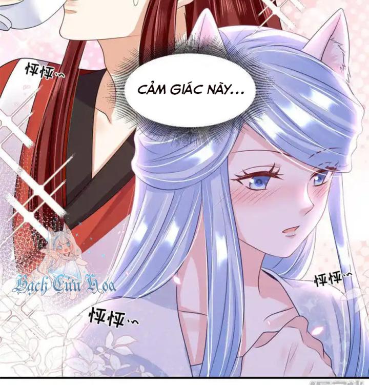 Hồ Ly Tinh Của Trẫm Chapter 82 - Trang 2