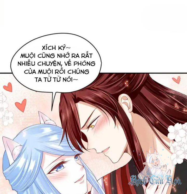 Hồ Ly Tinh Của Trẫm Chapter 83 - Trang 2