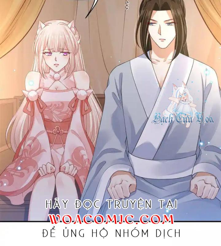 Hồ Ly Tinh Của Trẫm Chapter 83 - Trang 2