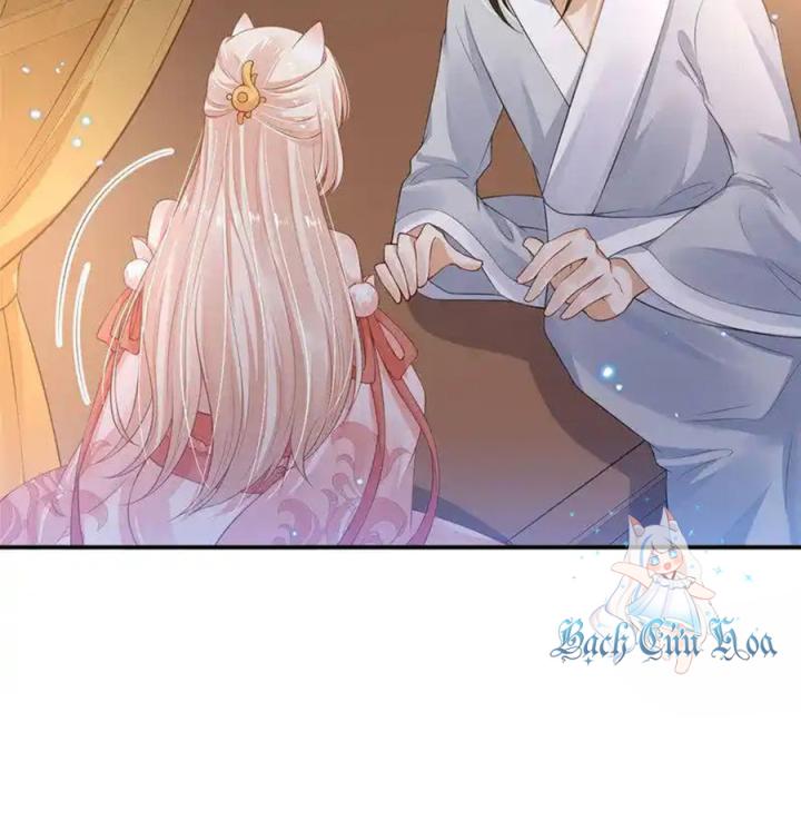 Hồ Ly Tinh Của Trẫm Chapter 83 - Trang 2