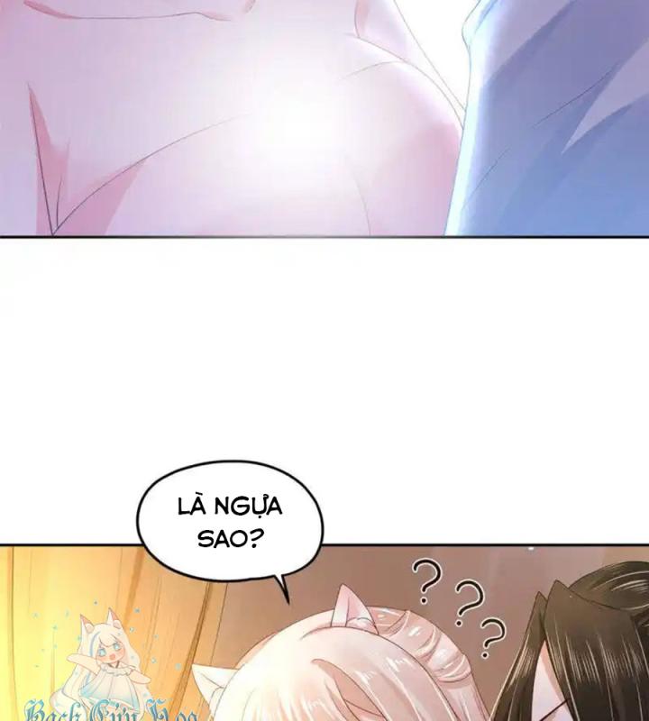 Hồ Ly Tinh Của Trẫm Chapter 85 - Trang 2