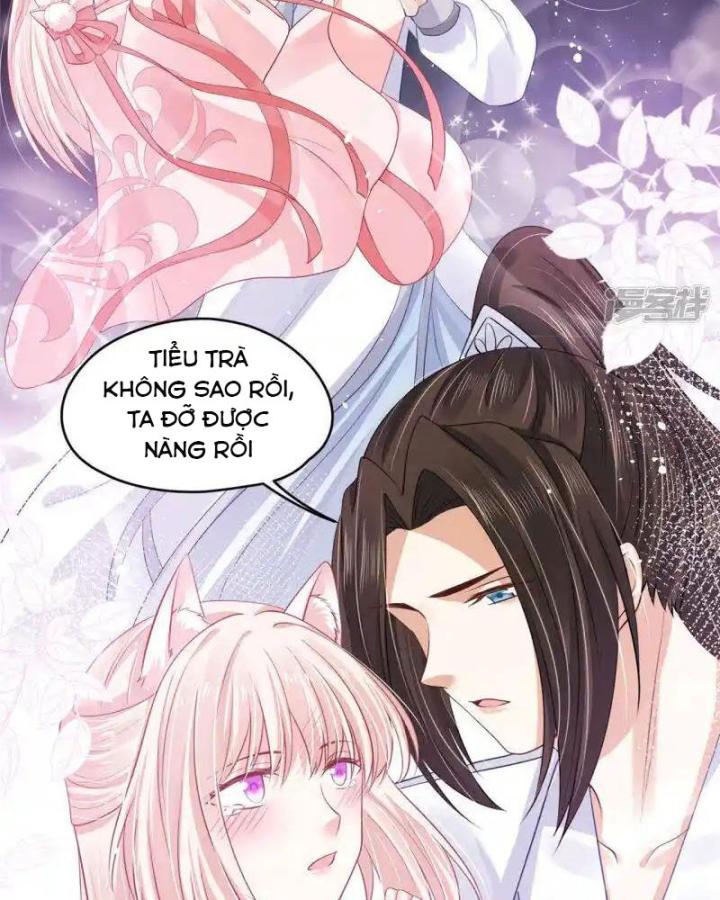 Hồ Ly Tinh Của Trẫm Chapter 88 - Trang 2