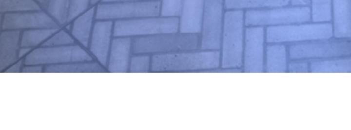 Học Cùng Em Gái, Không Cẩn Thận Trở Thành Vô Địch Chapter 138 - Trang 3