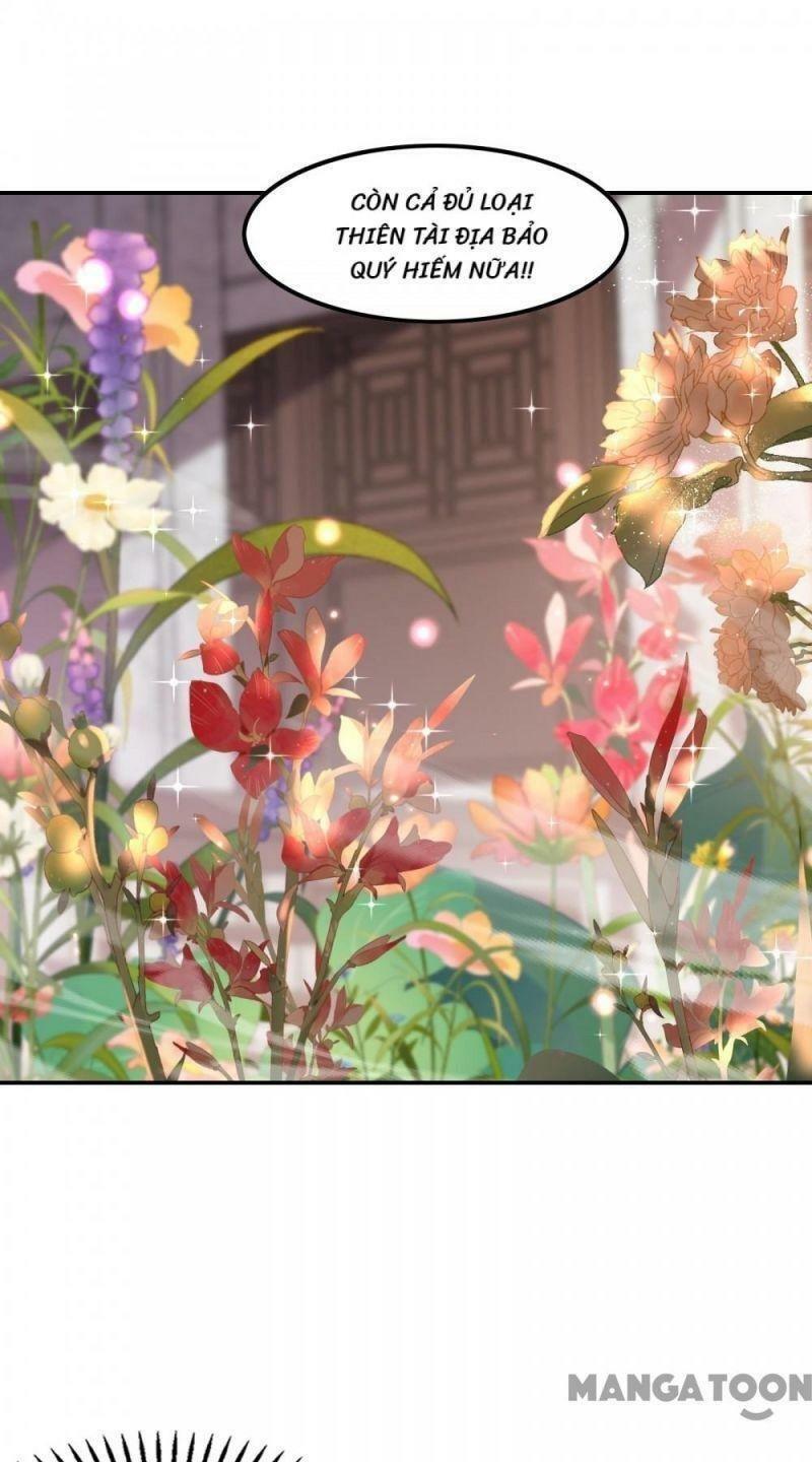 Đệ Nhất Ở Rể Chapter 117 - Trang 2