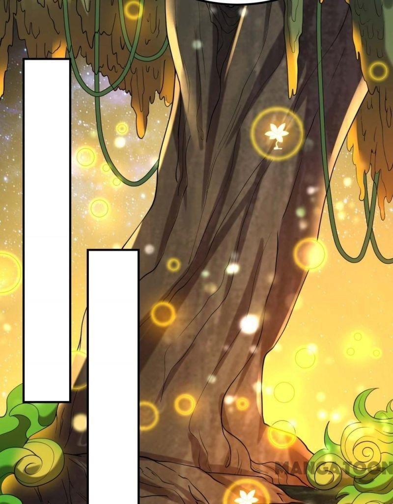 Đệ Nhất Ở Rể Chapter 133 - Trang 2