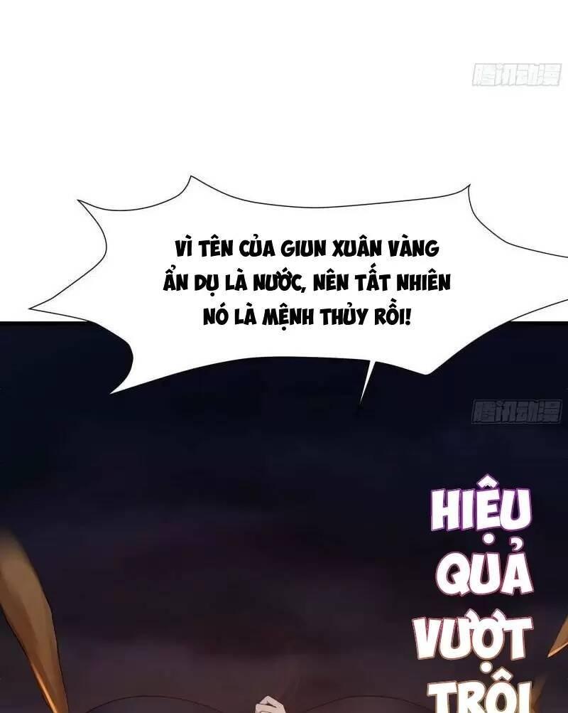 Ta Ở Địa Phủ Mở Hậu Cung Chapter 24 - Trang 3