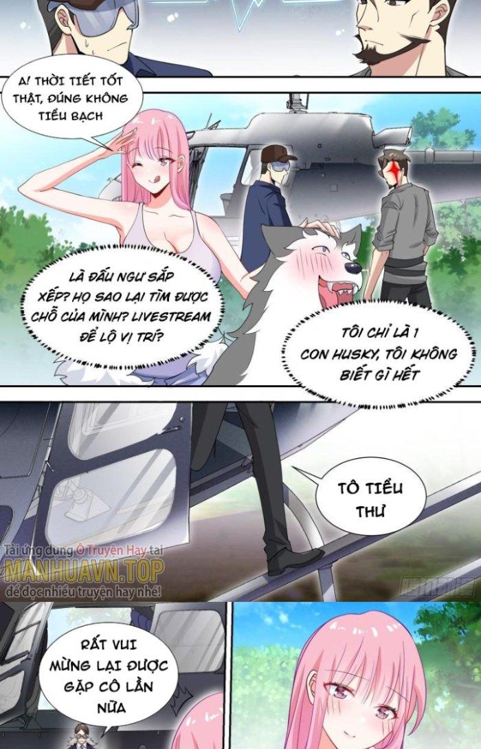 Trọng Sinh Thành Chó Của Nữ Thần Chapter 81 - Trang 4